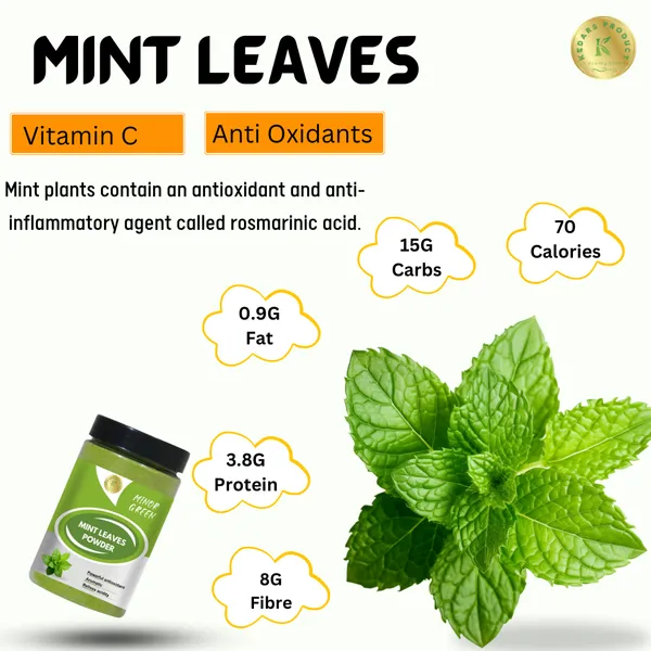 Mint_Leaves_Powder_100G_-_Pack_of_2