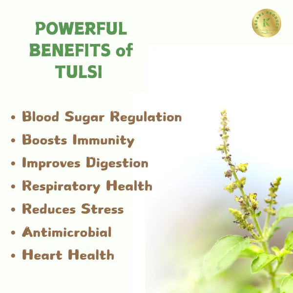 Tulsi_Holy_Basil_Leaves_Powder_100G