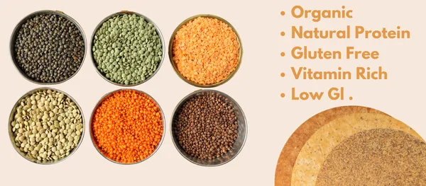 High_Protein_Dal_Khakhra_200G
