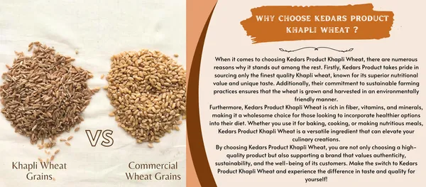 Khapli_Emmer_Wheat_Whole_Grain_Low_Gluten_Diabetic_Friendly