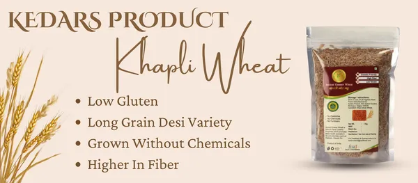 Khapli_Emmer_Wheat_Whole_Grain_Low_Gluten_Diabetic_Friendly