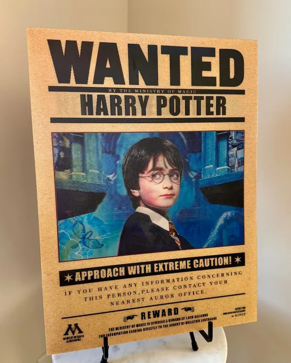 Poster_H_Rry_P0tter_Wanted_3d_Default_Title