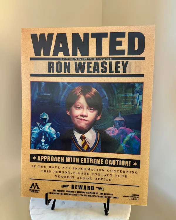 Poster_H_Rry_P0tter_Wanted_3d_Default_Title