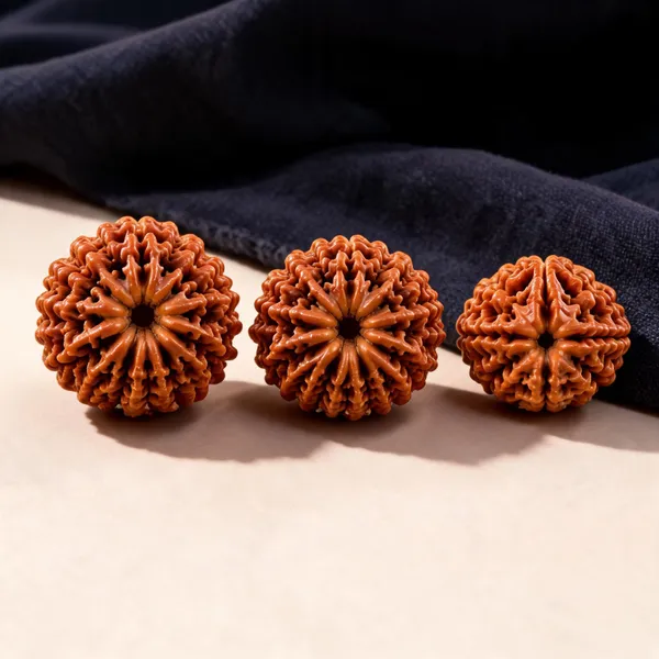 Doctors_Nurses_Healthcare_Rudraksha_Set_4_Mukhi_9_Mukhi_11_Mukhi