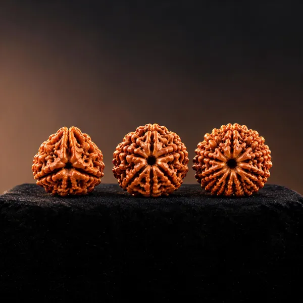 Banking_Finance_Rudraksha_Set_3_Mukhi_6_Mukhi_11_Mukhi