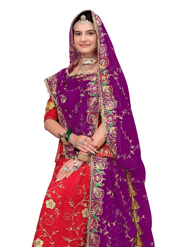 Zari_Embroidered_Georgette_Odhni_Dupatta_With_Peacock_Border_Wine