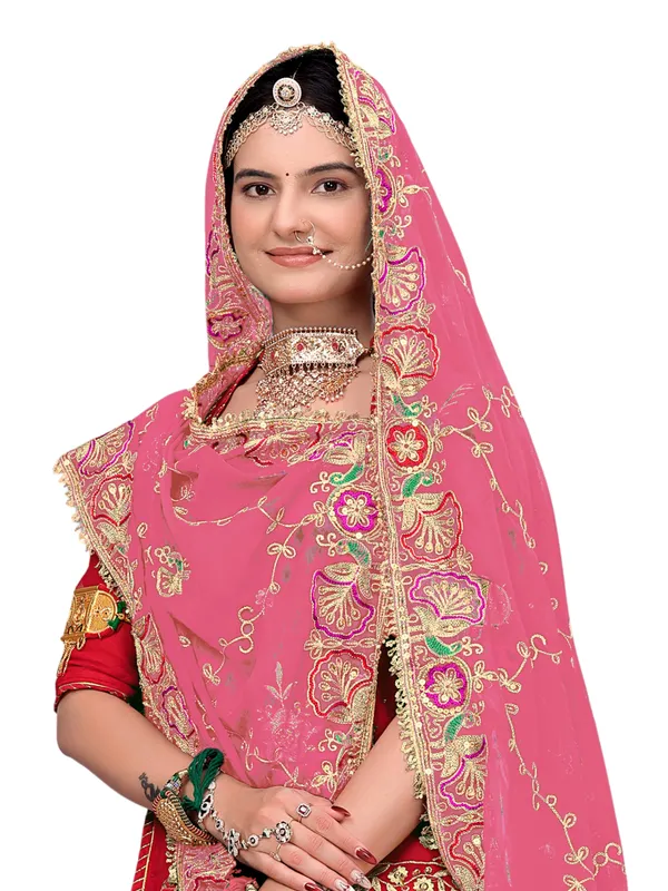 Zari_Embroidered_Georgette_Odhni_Dupatta_With_Peacock_Border_Onion_Pink