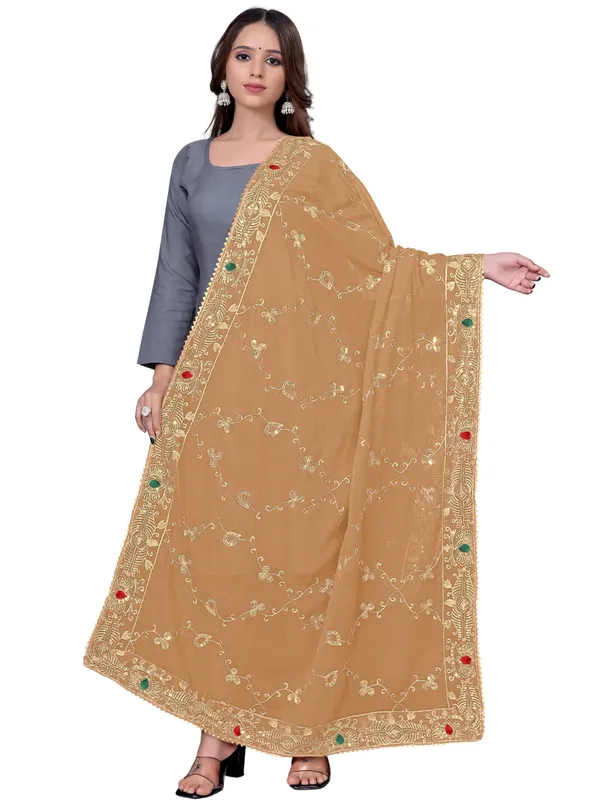 Embroidered_Georgette_Dupatta_With_Sequin_Work_Lace_Border_Beige