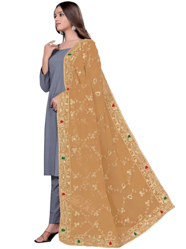 Embroidered_Georgette_Dupatta_With_Sequin_Work_Lace_Border_Beige