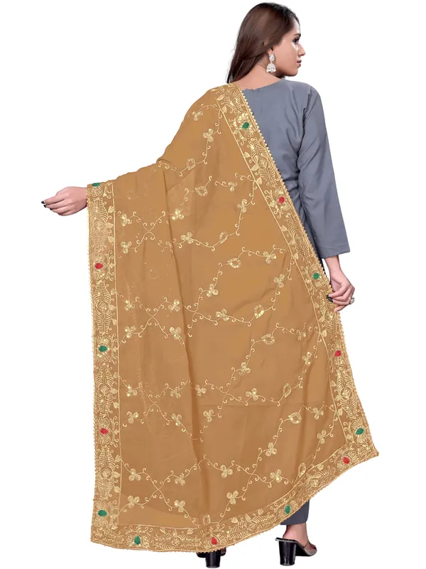 Embroidered_Georgette_Dupatta_With_Sequin_Work_Lace_Border_Beige