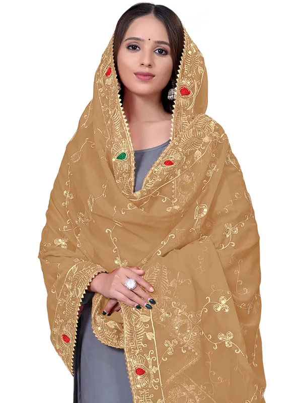 Embroidered_Georgette_Dupatta_With_Sequin_Work_Lace_Border_Beige