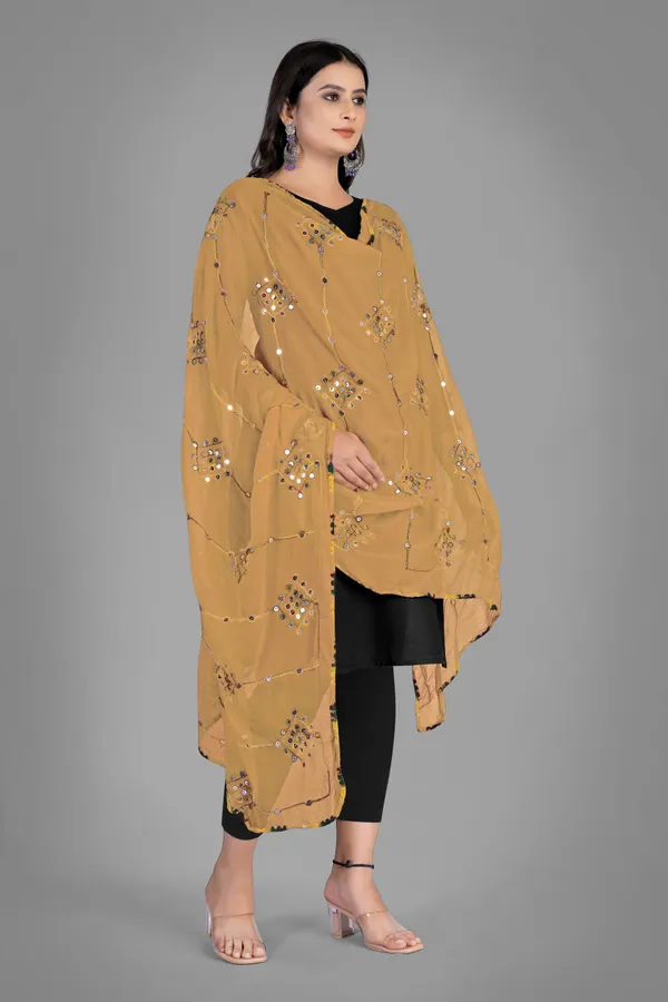 Kutchi_Style_Embroidered_Chiffon_Dupatta_With_Sequin_Work_Beige