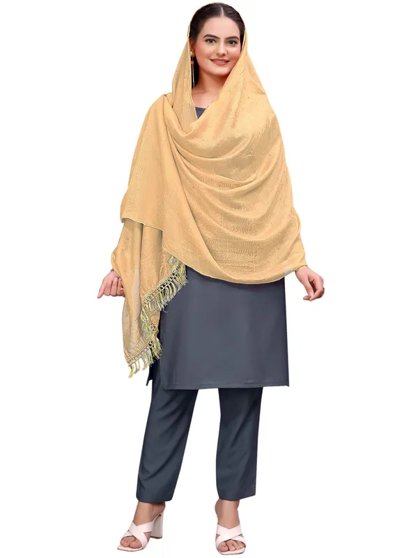 Chanderi_Style_Dupatta_With_Zari_Stripes_Sequins_Tassels_Beige