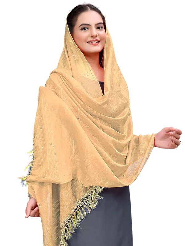 Chanderi_Style_Dupatta_With_Zari_Stripes_Sequins_Tassels_Beige