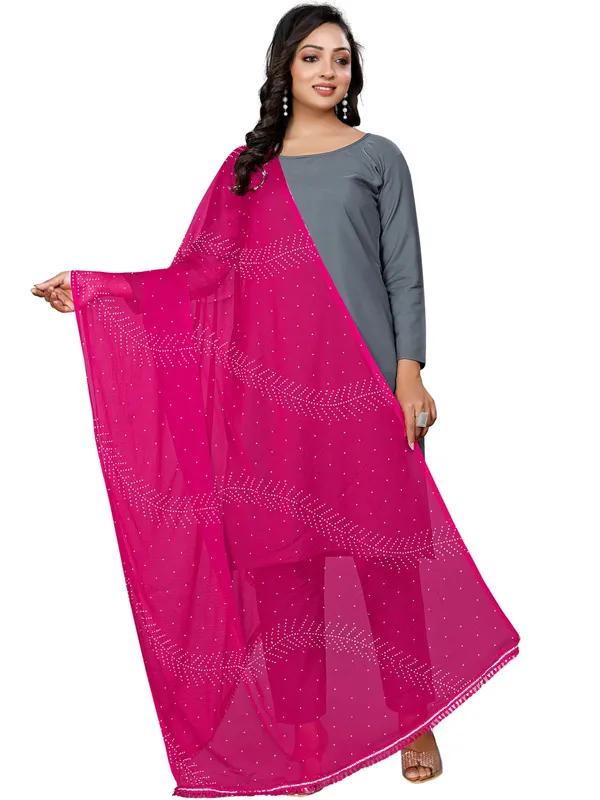 Stone_Work_Chiffon_Dupatta_With_Leaf_Vines_Tassel_Lace_Pink