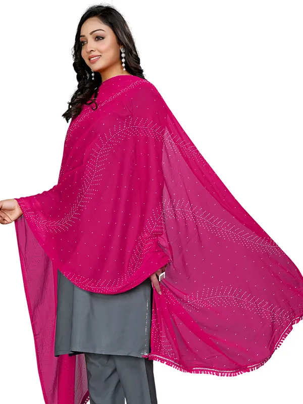Stone_Work_Chiffon_Dupatta_With_Leaf_Vines_Tassel_Lace_Pink
