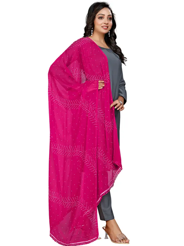 Stone_Work_Chiffon_Dupatta_With_Leaf_Vines_Tassel_Lace_Pink