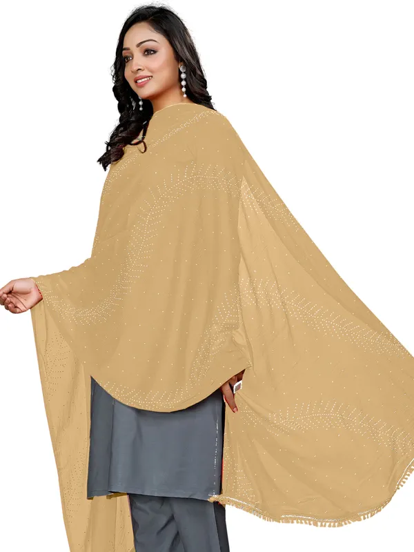 Stone_Work_Chiffon_Dupatta_With_Leaf_Vines_Tassel_Lace_Beige