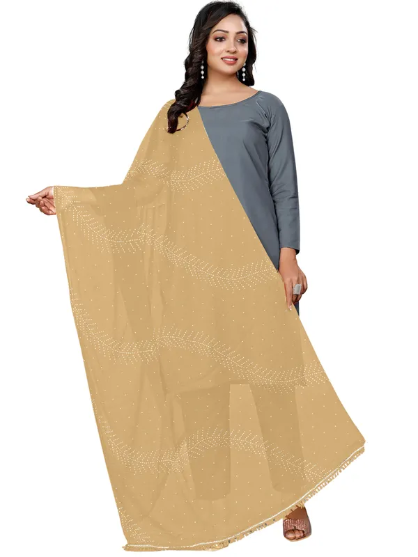 Stone_Work_Chiffon_Dupatta_With_Leaf_Vines_Tassel_Lace_Beige