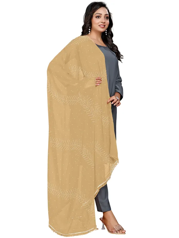Stone_Work_Chiffon_Dupatta_With_Leaf_Vines_Tassel_Lace_Beige