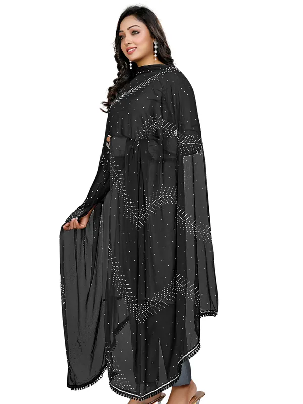 Stone_Work_Chiffon_Dupatta_With_Leaf_Vines_Tassel_Lace_Black