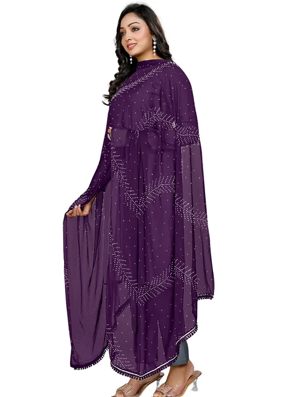 Stone_Work_Chiffon_Dupatta_With_Leaf_Vines_Tassel_Lace_Wine