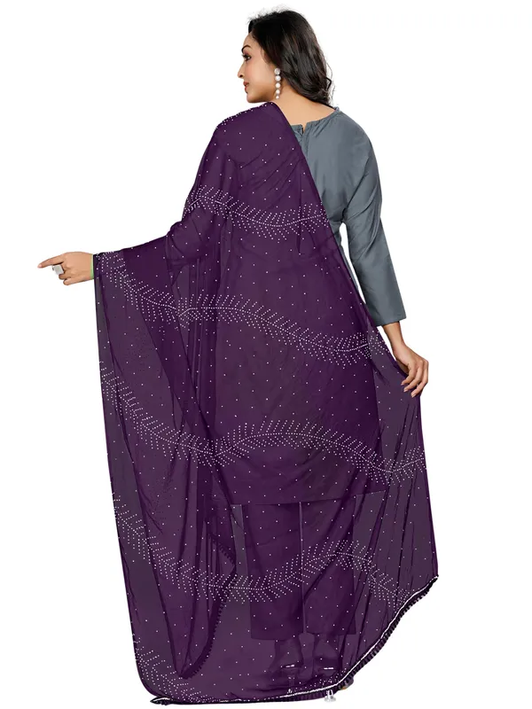 Stone_Work_Chiffon_Dupatta_With_Leaf_Vines_Tassel_Lace_Wine