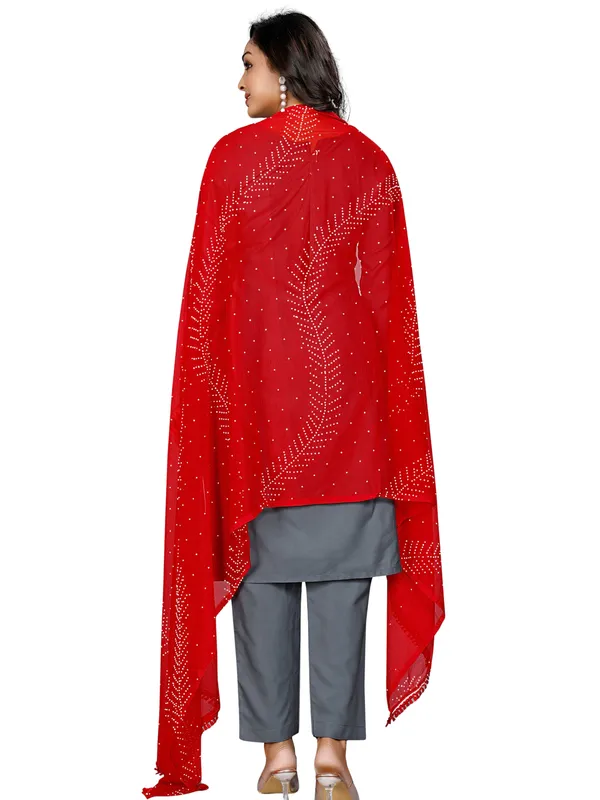 Stone_Work_Chiffon_Dupatta_With_Leaf_Vines_Tassel_Lace_Red