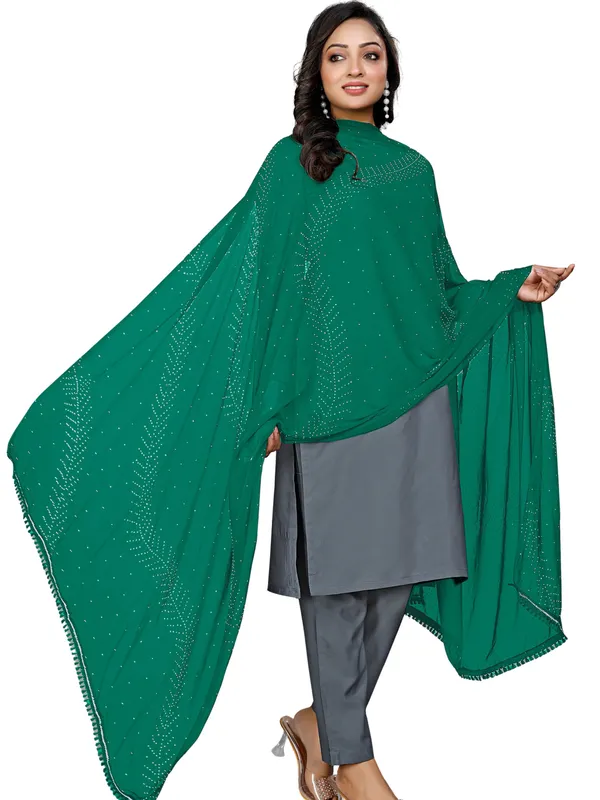 Stone_Work_Chiffon_Dupatta_With_Leaf_Vines_Tassel_Lace_Rama_Green
