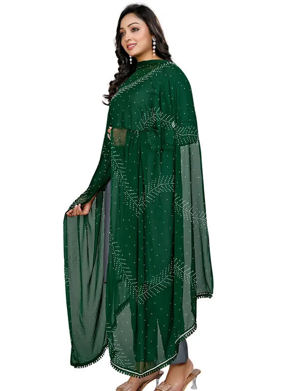 Stone_Work_Chiffon_Dupatta_With_Leaf_Vines_Tassel_Lace_Green