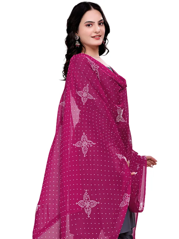 Stone_Work_Chiffon_Dupatta_With_Flower_Motifs_Tassel_Lace_Pink