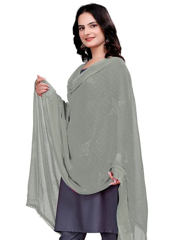Stone_Work_Chiffon_Dupatta_With_Flower_Motifs_Tassel_Lace_Grey