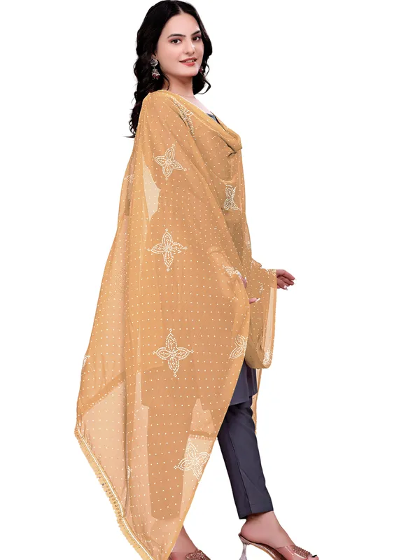 Stone_Work_Chiffon_Dupatta_With_Flower_Motifs_Tassel_Lace_Beige