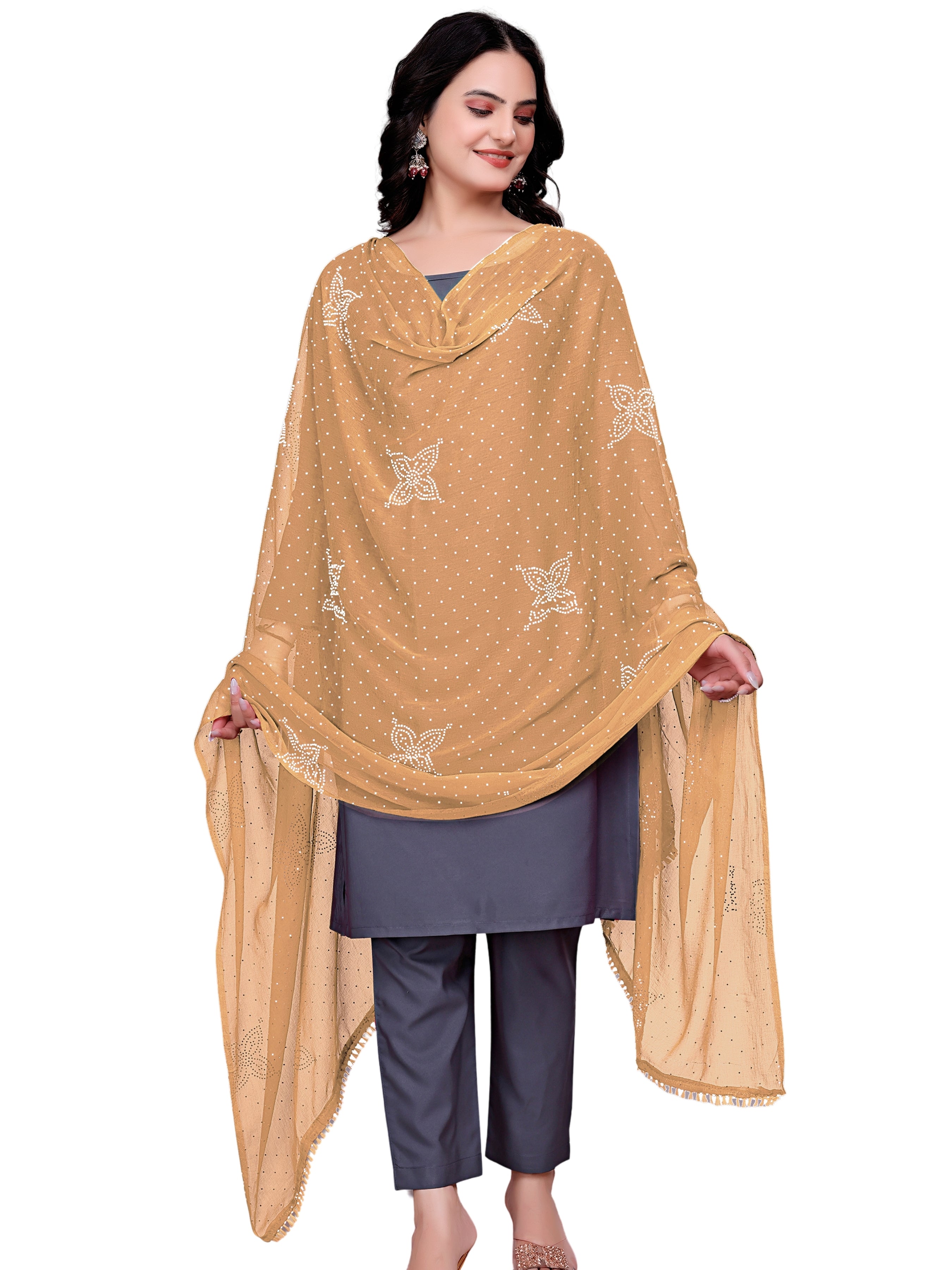 Stone_Work_Chiffon_Dupatta_With_Flower_Motifs_Tassel_Lace_Beige