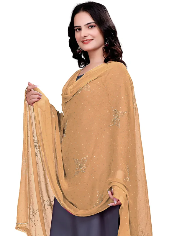 Stone_Work_Chiffon_Dupatta_With_Flower_Motifs_Tassel_Lace_Beige