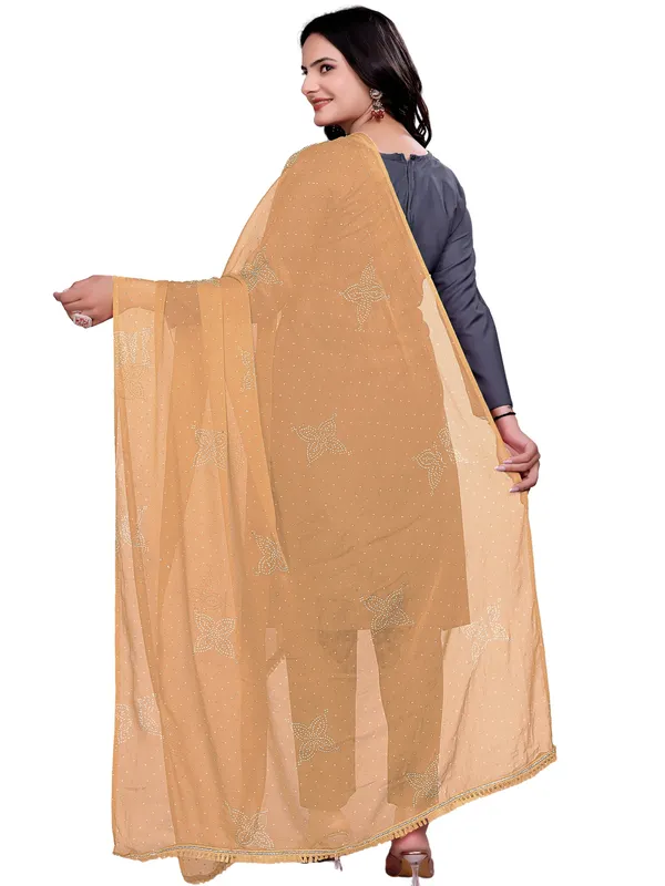 Stone_Work_Chiffon_Dupatta_With_Flower_Motifs_Tassel_Lace_Beige