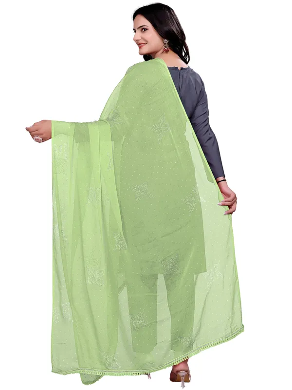 Stone_Work_Chiffon_Dupatta_With_Flower_Motifs_Tassel_Lace_Pista_Green