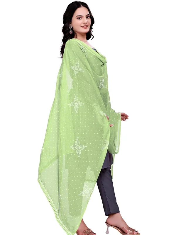 Stone_Work_Chiffon_Dupatta_With_Flower_Motifs_Tassel_Lace_Pista_Green