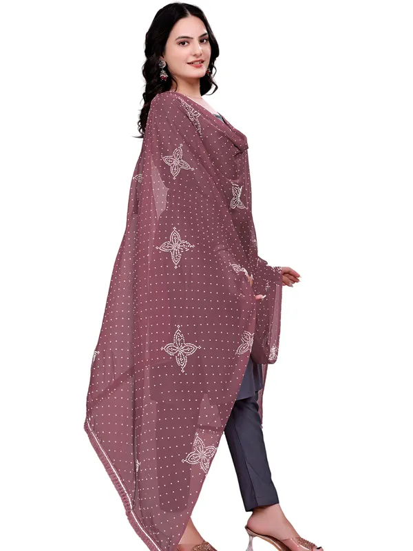 Stone_Work_Chiffon_Dupatta_With_Flower_Motifs_Tassel_Lace_Light_Brown