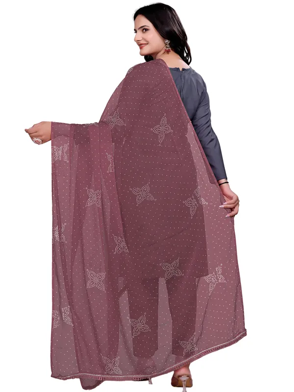 Stone_Work_Chiffon_Dupatta_With_Flower_Motifs_Tassel_Lace_Light_Brown