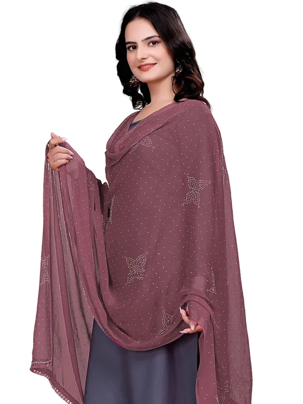Stone_Work_Chiffon_Dupatta_With_Flower_Motifs_Tassel_Lace_Light_Brown