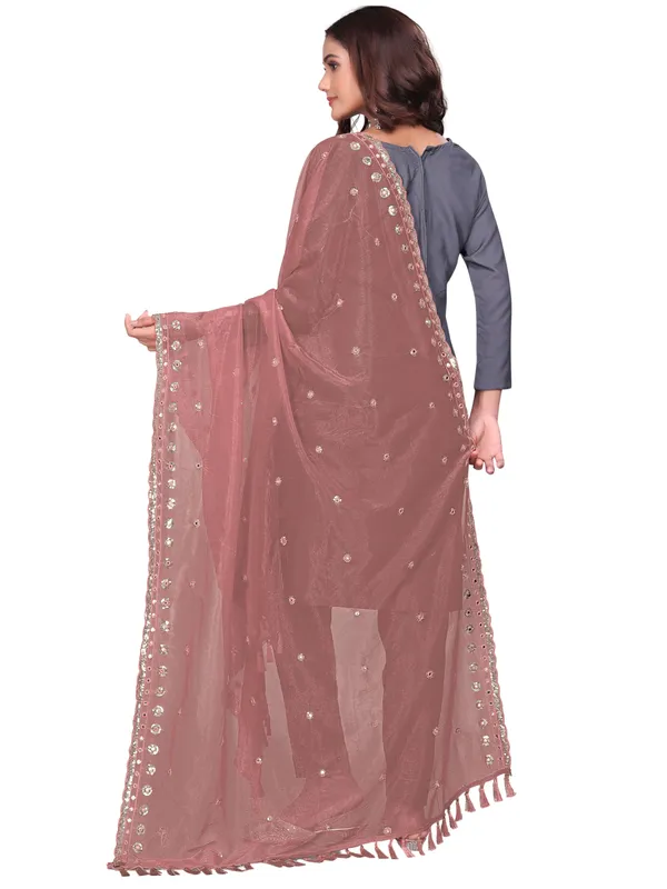 Mirror_Work_Organza_Dupatta_With_Sequin_Border_Tassels_Brown