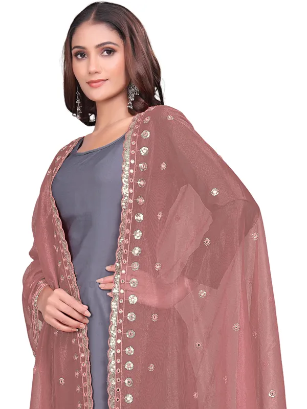 Mirror_Work_Organza_Dupatta_With_Sequin_Border_Tassels_Brown
