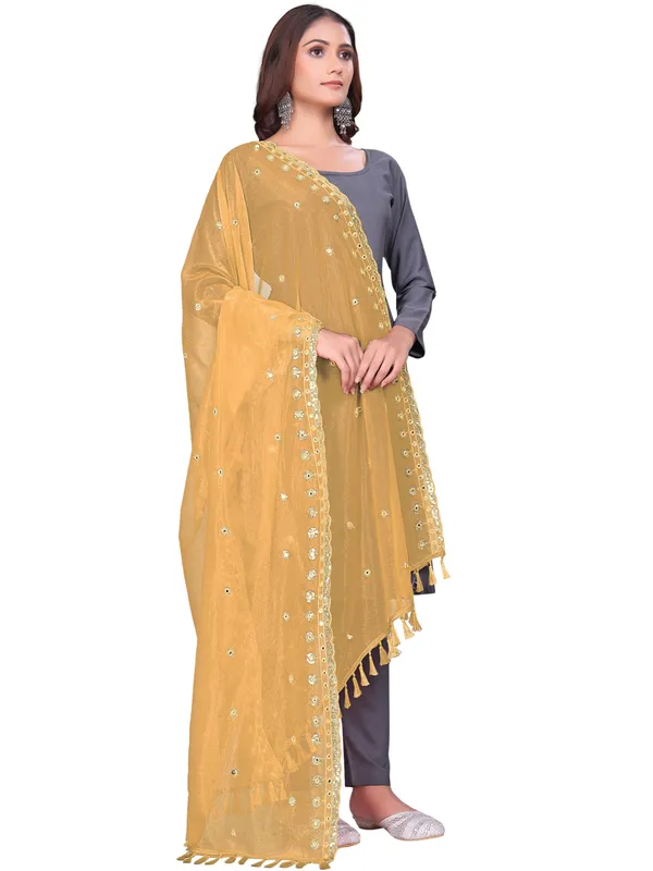 Mirror_Work_Organza_Dupatta_With_Sequin_Border_Tassels_Beige