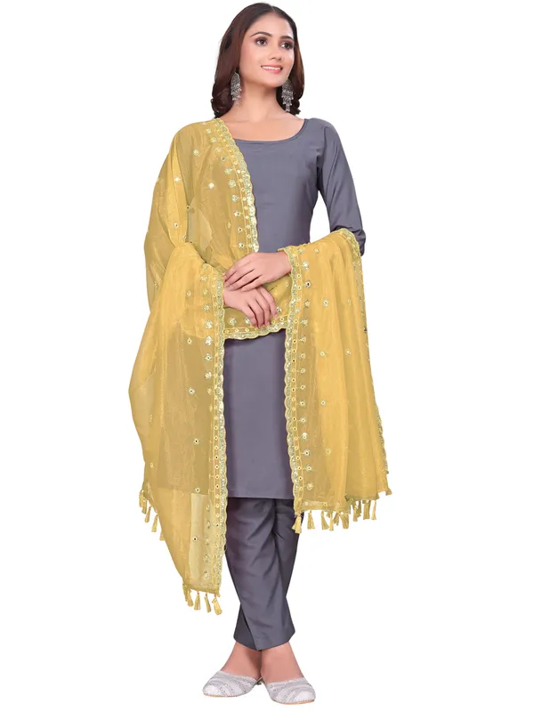 Mirror_Work_Organza_Dupatta_With_Sequin_Border_Tassels_Beige
