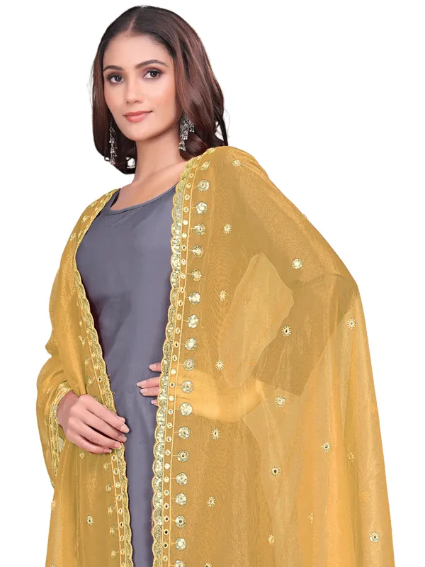 Mirror_Work_Organza_Dupatta_With_Sequin_Border_Tassels_Beige