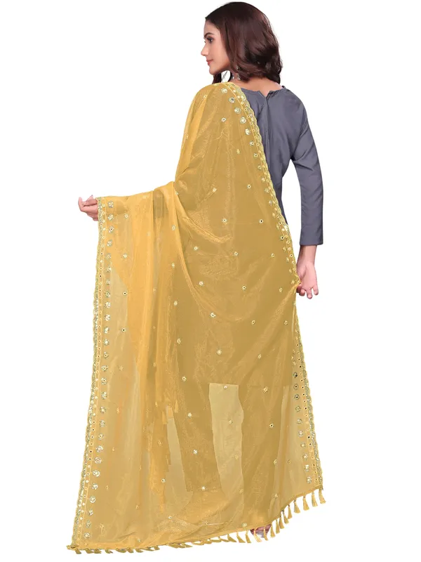 Mirror_Work_Organza_Dupatta_With_Sequin_Border_Tassels_Beige