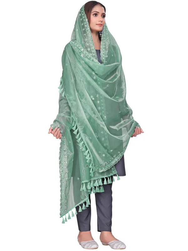 Mirror_Work_Organza_Dupatta_With_Sequin_Border_Tassels_Pista_Green