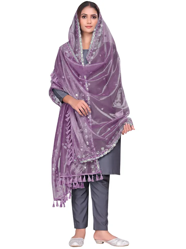 Mirror_Work_Organza_Dupatta_With_Sequin_Border_Tassels_Onion_Pink