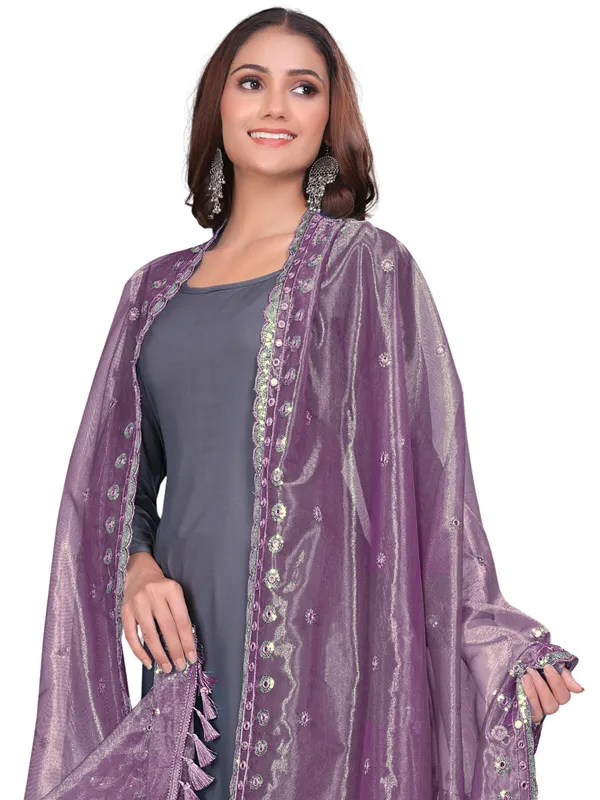Mirror_Work_Organza_Dupatta_With_Sequin_Border_Tassels_Onion_Pink